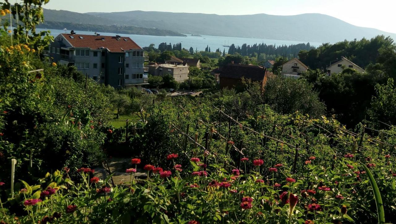 Apartmani Bosco Tivat Exteriör bild