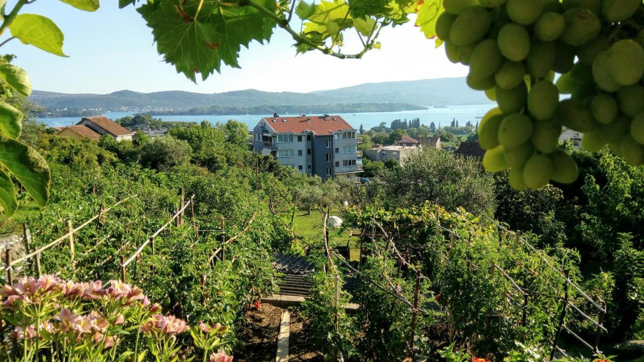 Apartmani Bosco Tivat Exteriör bild