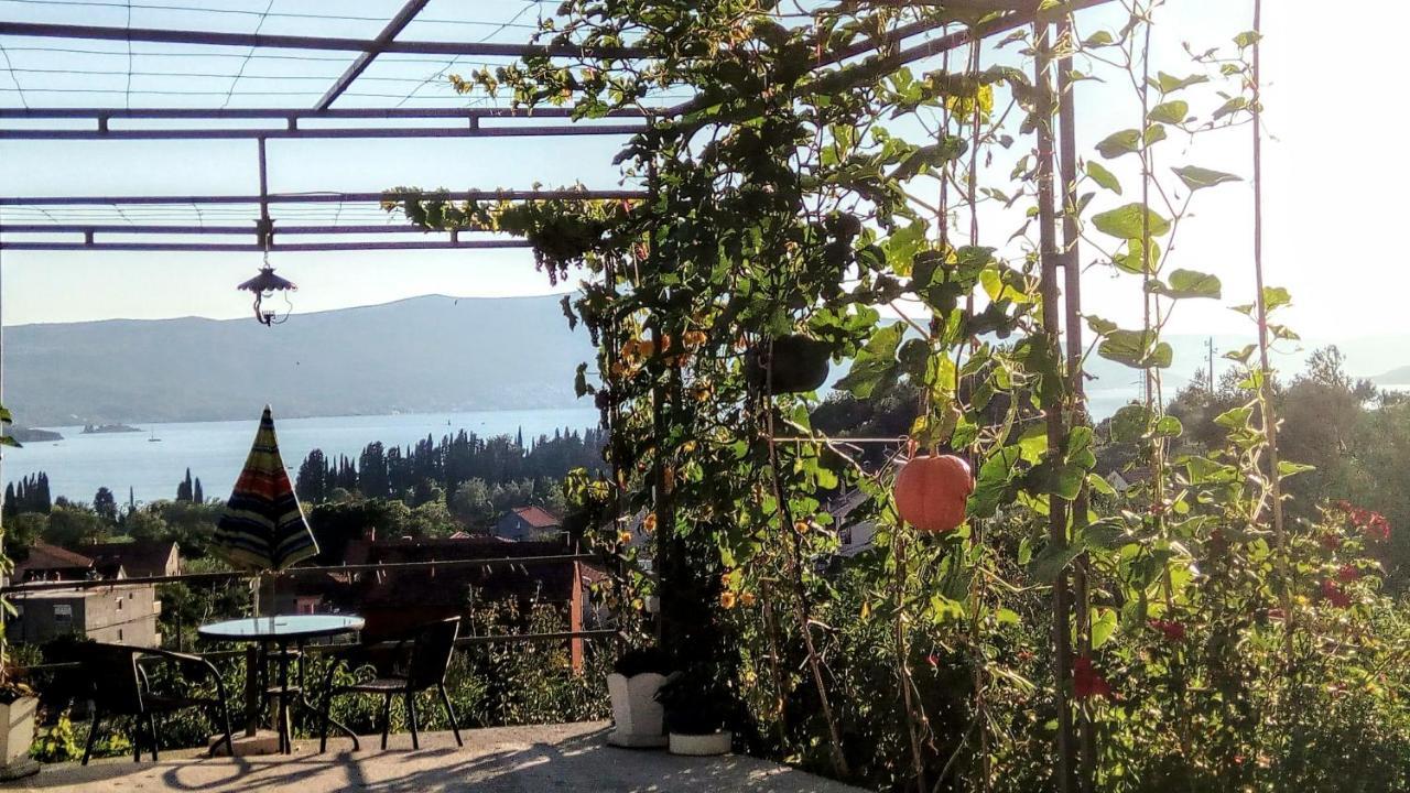 Apartmani Bosco Tivat Exteriör bild