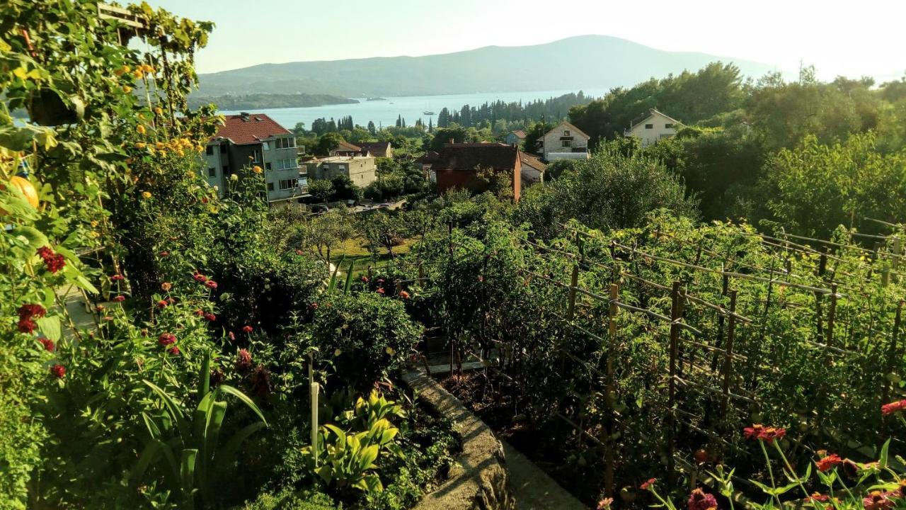 Apartmani Bosco Tivat Exteriör bild
