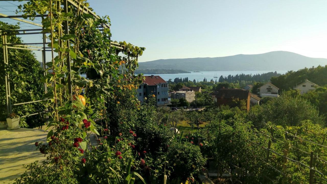 Apartmani Bosco Tivat Exteriör bild