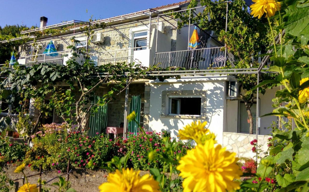 Apartmani Bosco Tivat Exteriör bild