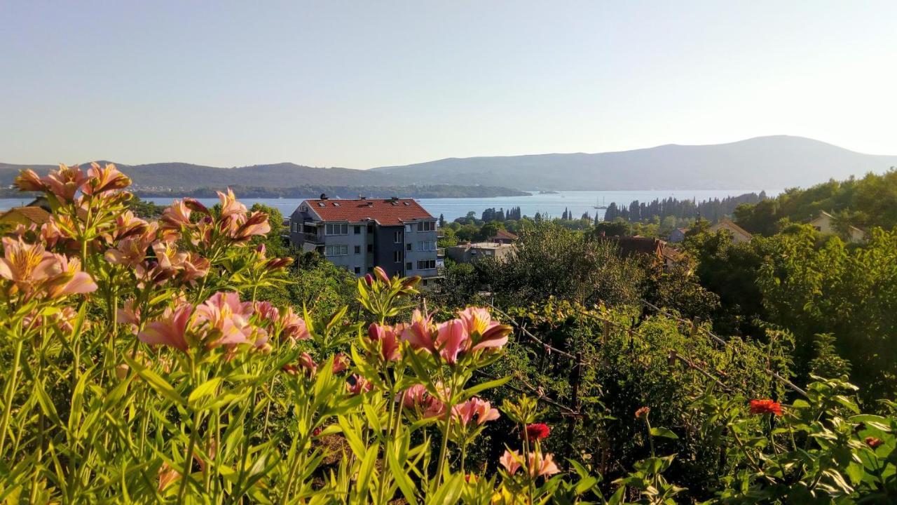 Apartmani Bosco Tivat Exteriör bild