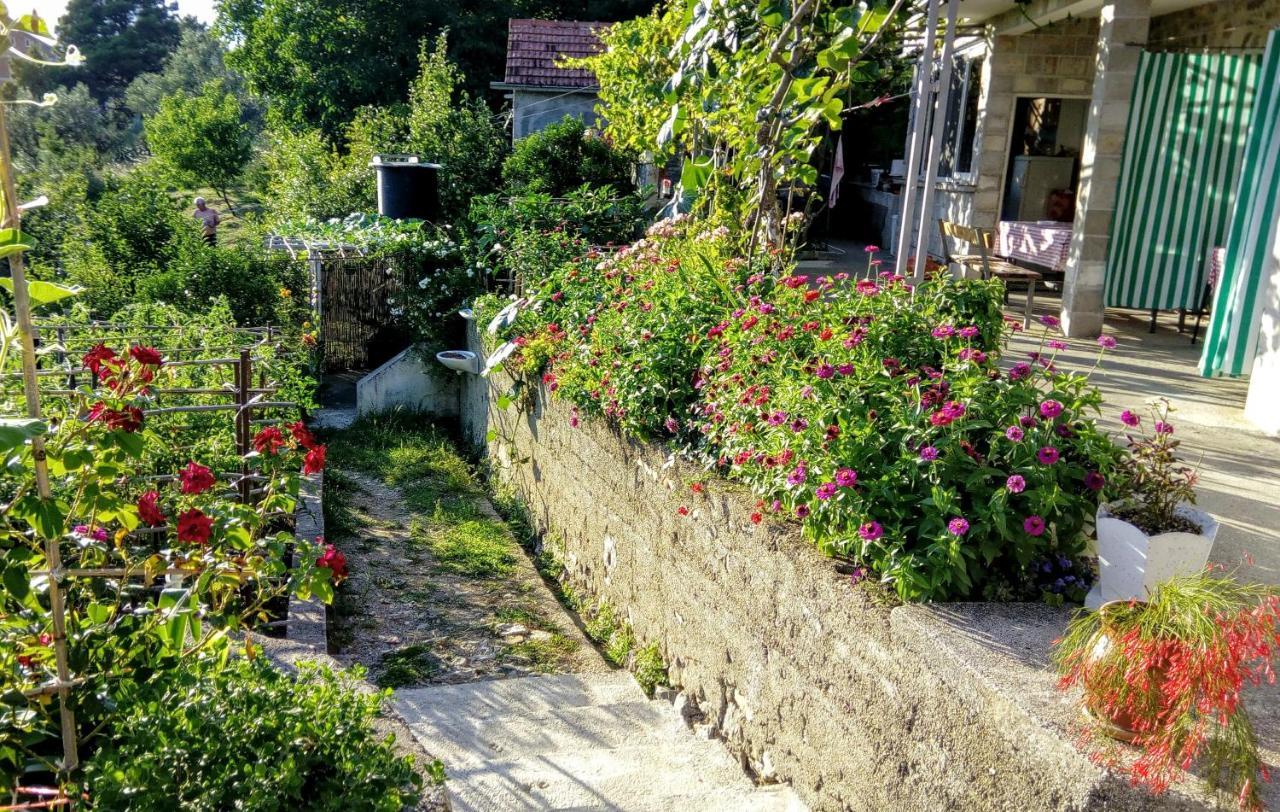 Apartmani Bosco Tivat Exteriör bild