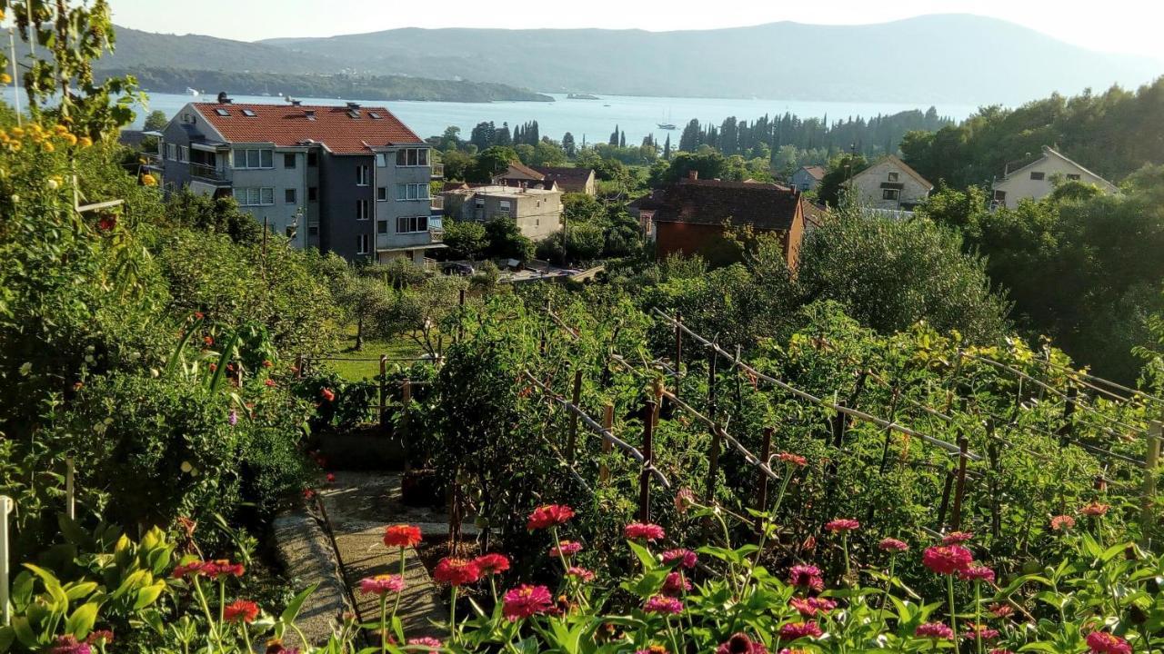 Apartmani Bosco Tivat Exteriör bild